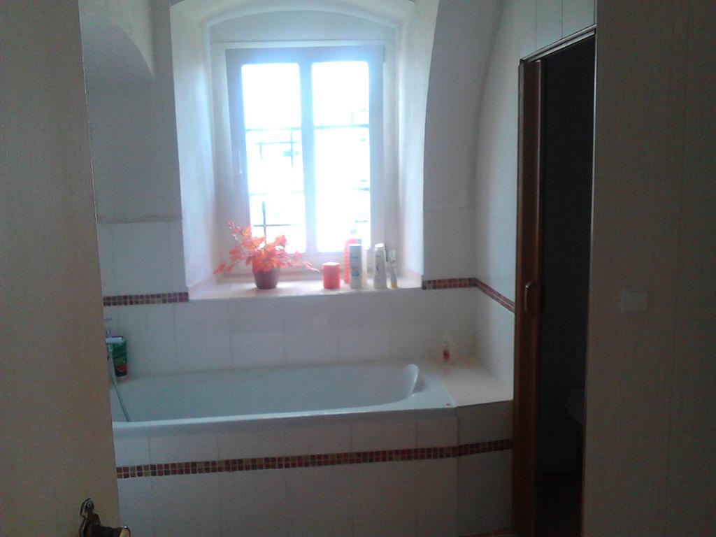 Jiretinska Chaloupka Apartment Jiřetín pod Jedlovou Екстериор снимка