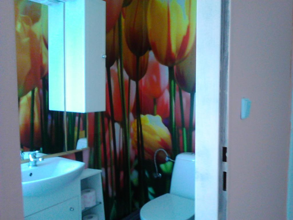 Jiretinska Chaloupka Apartment Jiřetín pod Jedlovou Екстериор снимка