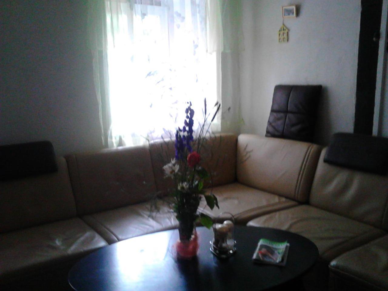 Jiretinska Chaloupka Apartment Jiřetín pod Jedlovou Екстериор снимка